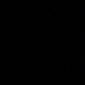 Meet your Posher, Will